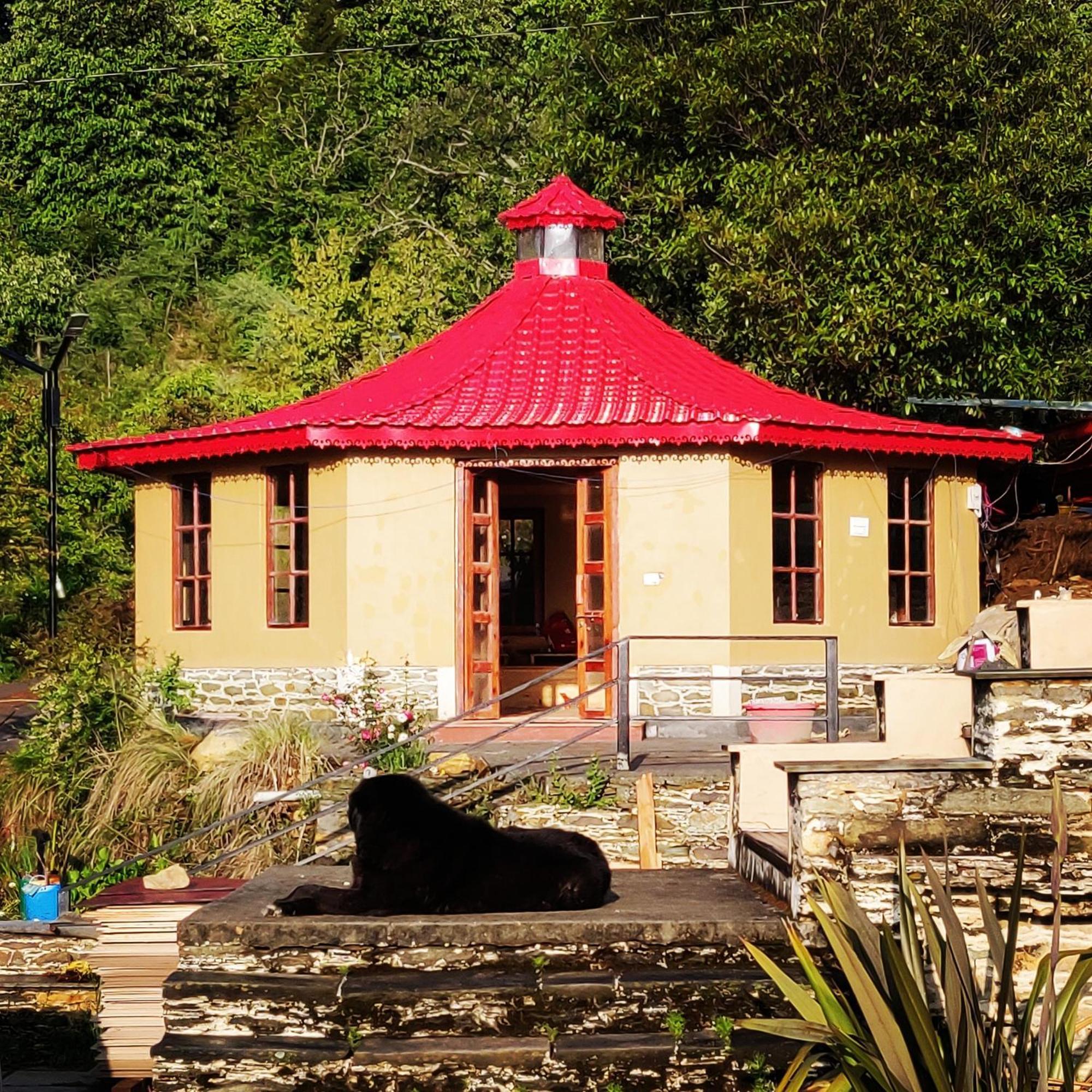 Dunagiri Retreat Dwarahat Extérieur photo